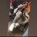 Mark Loeffler - Facebook