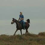 Marco De Lohele - @marco_de_lohele - Instagram
