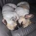 Marc Loranger - Facebook