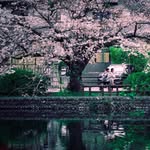 戴守・瞬光　Marc Lorenzo - @nidoking90 - Instagram