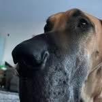 Marc Loria - @marc.loria.3 - Instagram