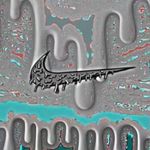 Constantin Marc Lucescy - @marc_lucescu_011 - Instagram