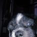 Marc Lumbres - Facebook