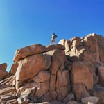 Marc Lyle Durfee - @marcdurfee - Instagram