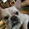Marc Mac Nonia - @marcmacnonia - TikTok