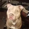 Marcus Macon - @marcus.macon - TikTok