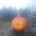 Marc Andre Madore - Facebook