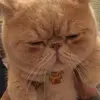 :p - @marcmainn - TikTok