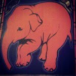Marcin Makuch - @marcmak - Instagram