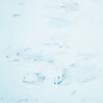 濡れた犬.mp3 - @marcmakesmecry - Instagram