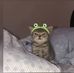 March Mallow - Facebook