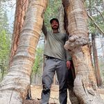Marc Malloy - @marc.malloy - Instagram