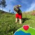 Marco Mango - Facebook