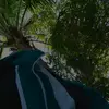 Marcos manzo Marcos manzo - @marcos.manzo.marc - TikTok