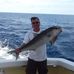 Marc Martino - Facebook