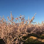 Marc Marty - @marc.marty.568 - Instagram