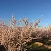 Marc Marty - @marc.marty1 - TikTok