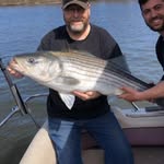 Marc Mastrobuono - @marcmastrobuono - Instagram