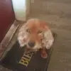 Marco Maton - @marco.maton7 - TikTok