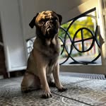 Marc Maurice Montalbo - @macmawris - Instagram