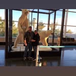 Marc McAffee - @marc.mac69 - Instagram