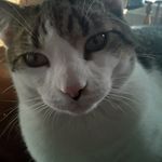 Marc McClure - @marcmcclure9 - Instagram