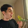 Marc Menezes - @marcmenezes7 - TikTok