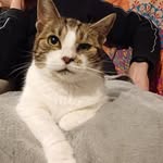 Marc Mengal - @marc.mengal - Instagram