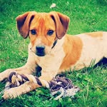 Marc - @marc_marcmota - Instagram