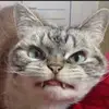 marc.mota - @marc.mota - TikTok