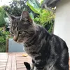 Marc MOULIN - @marc.m61 - TikTok