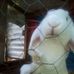 Marc Mam - Facebook