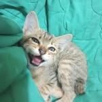 Sella Tri - @marcney09 - Instagram