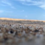 Marc Nicolas - @marcnicolas41 - Instagram