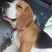 Marcio Teiji Nishimoto - Facebook