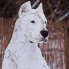 Marco Nitz - @marco.nitz6 - TikTok