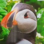marc nivet - @marcnivet - Instagram
