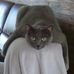 Marc Nolette - Facebook