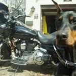 Marc Norris - @mrcnrrs - Instagram