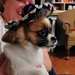 Marc Norris - @marc.norris.14268 - Instagram