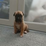 Marc O'brien - @marc.obrien.dds - Instagram