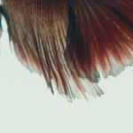 Marc Oliva - @marc.0liva - Instagram