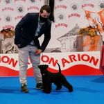 Marc Oliva - @marc_dogroomer - Instagram
