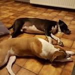 marc otto - @marc_otto - Instagram