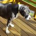 Marc Otto - Facebook
