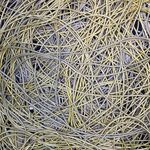 Marc Otto - @throwlineblues - Instagram