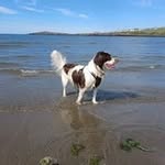 Marc Patching - @patchingmarc - Instagram