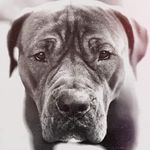 Marc Paulsen - @marc.paulsen.731 - Instagram