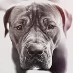 Marc Paulsen - @marc.paulsen.731 - Instagram