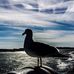 Marc Paulus Photography - Facebook